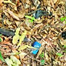 오후의 산책 이미지