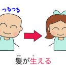 자라다 이미지