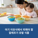 아기 이유식에서 피해야 할 알레르기 유발 식품 정리