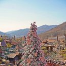 살롱드 베베 | 서울 근교 유럽 테마파크 루덴시아 후기｜2월 핑크 트리 숲·핑크 전망대 인생샷 명소