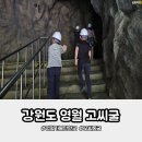 동굴문구 | 강원도 영월 가볼만한곳 초등아이와 실제 박쥐를 본 고씨동굴 후기