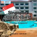 클락키 | 싱가포르 여행 클락키 호텔 파라독스 싱가포르 머천트 코트 숙박 후기