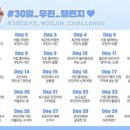 D-11 이미지