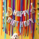 견생공방 이미지