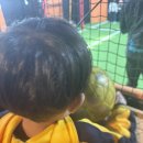 아이스포츠 | 울산 유아 축구 5세 첫 운동 울주군 키즈 구영아이 스포츠 후기