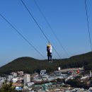 나인오션 이미지