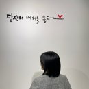 당신의 머리를 훔치다 네이버블로그