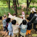 숲이있는 어린이집 이미지