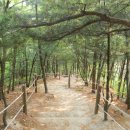 동막골약수터 이미지