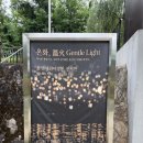 정원아트 | 용리단길 데이트 <용산어린이정원>, 온화 미디어아트 솔직 후기, 서울 무료 전시, 카페, 맛집 데이트...