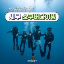 떼템포 | 세부 스쿠버다이빙여행 후기 | 혼자 출발해도 팀이 되는 소규모 스쿠버투어