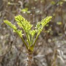 나도 과학실험맨(B) 이미지