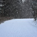 [2019/3/16(토)정기산행] 청주 미동산 힐링 산행...산들해지기 리딩 이미지