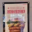 롯데리아도량점 네이버블로그