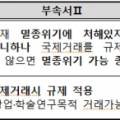 콩알Ⅱ