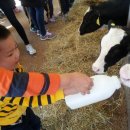 윤호목장 이미지