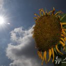 천선농장 이미지