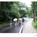 방아교 티스토리