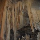 죽령 목장 이미지