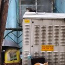 코미치바다 펜션 이미지