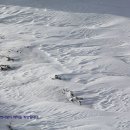 트럼펫연주 이미지