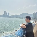 흰여울 - 남해군 | 부산 흰여울문화마을 후기 영도 바다 산책 코스로 좋았던 곳