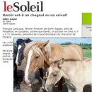 말코농장 이미지