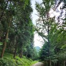 완주 편백숲 관광안내소 이미지