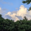 경덕작은도서관 | [SNS 서포터즈] 7월 통섭의 광장 서은국 교수님의 행복강연 듣고 온 후기
