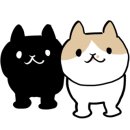 3층중앙약국 이미지