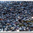 블랙비치 이미지