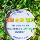 초록글씨