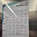 신나는신경외과의원 | 동탄역쪽에 신나는 신경외과를 소개합니다(내돈내산) - 후기 추가 했어용