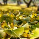 금밭농장 이미지