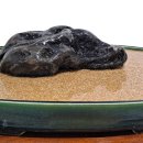 세파