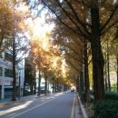 (주)VT신항종합정비 | [2012.11.19] 우면산 라이딩 후기 (우면산 + 양재동 + 양재천 + 우면산 다운힐 코스 + 아시아 공원...