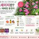 달콤후르츠달콤Fruit
