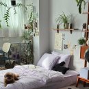 (주)그린펫 | 알러지케어 이불 반려동물 털 걱정없는 나란히 차렵이불 침구 세트