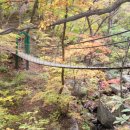가을 단풍이 좋은 자연휴양림 10곳 이미지