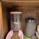 콩콩설기 이미지