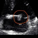 24시 성심동물메디컬센터 이미지