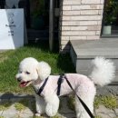 지개동산 이미지