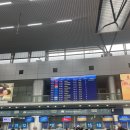 캄베여행기 DAY23 닌빈 (다낭에서 하노이 공항, 닌빈, 닌빈 숙소, 닌빈 맛집&amp;카페)