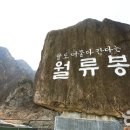 광운농장 이미지