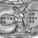 홍익신경외과의원 이미지