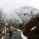 스테이화개 이미지