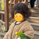 주원빌라 주차장 | 경주 여행기(Gyeong-Ju)