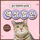 고스트전담마트 이미지