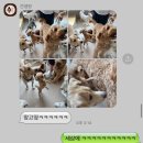 견생원 이미지