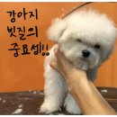 프랑소와펫 신세계대전점 이미지